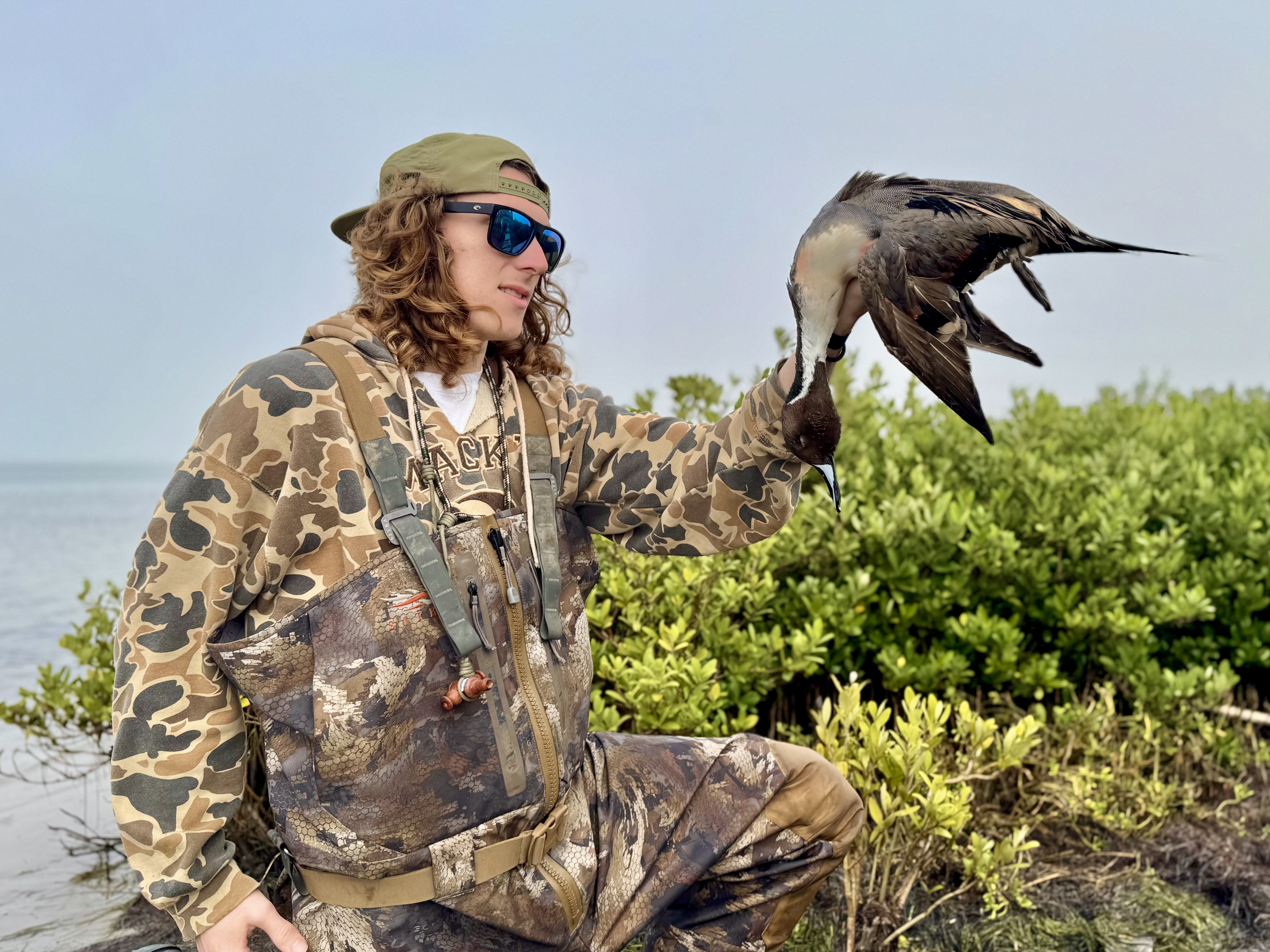 Pintail duck South Texas waterfowl hunting