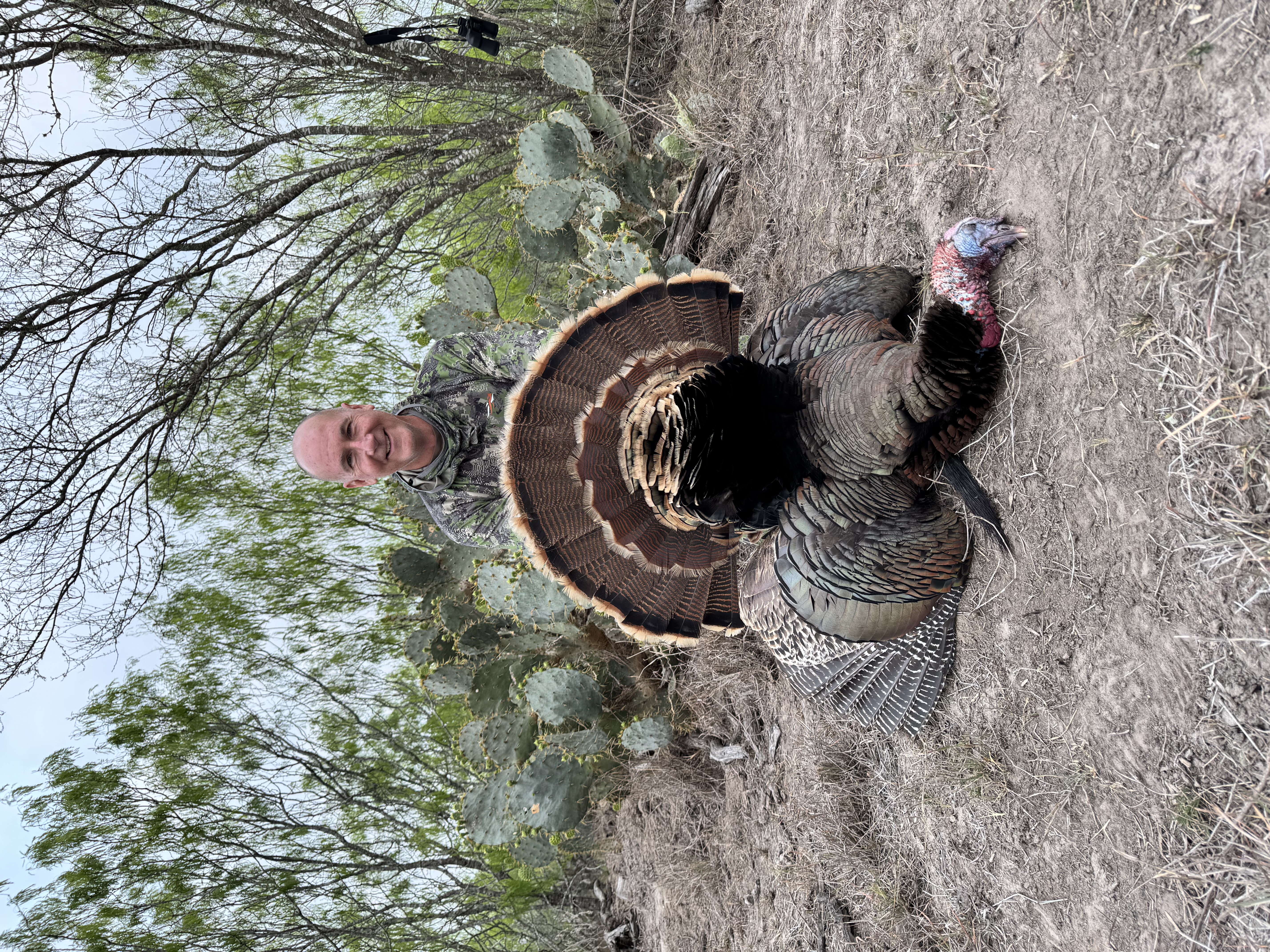 Turkey hunting South Texas brush country